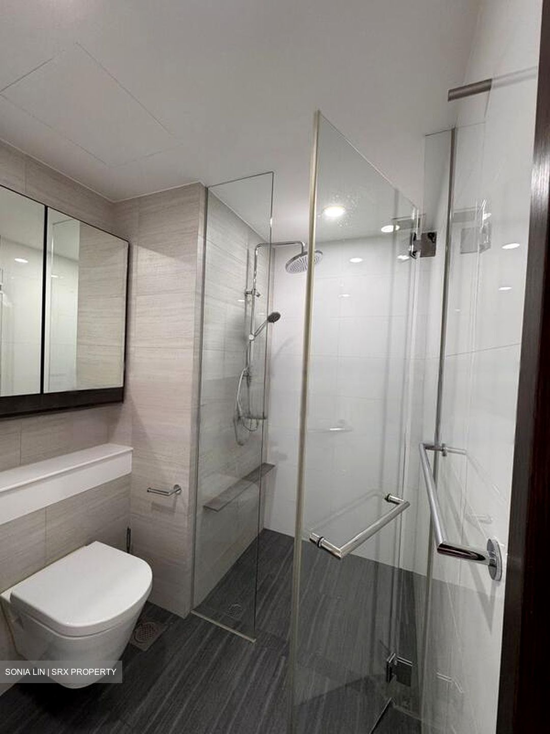 Botanique At Bartley (D19), Condominium #549239161